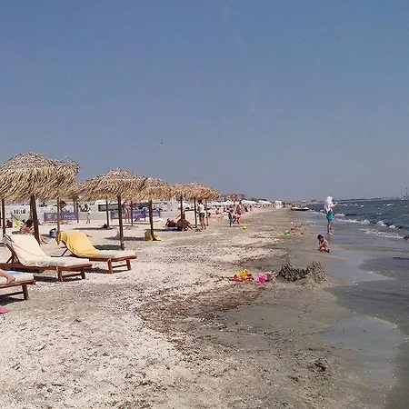 Bruno Summerland Mamaia