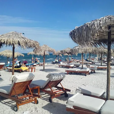 Bruno Summerland * Mamaia