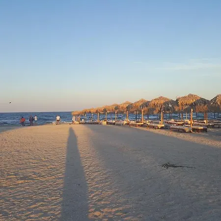 Bruno Summerland Mamaia