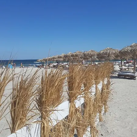 Bruno Summerland * Mamaia