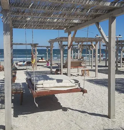 Bruno Summerland Mamaia