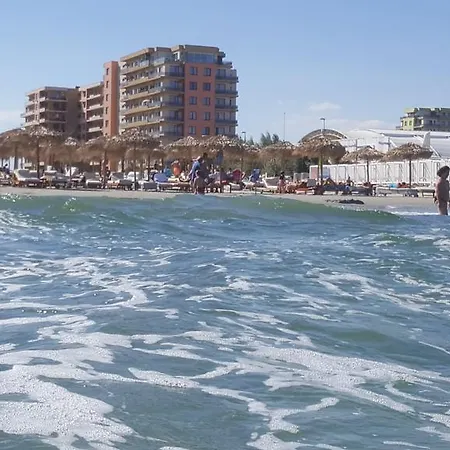 Bruno Summerland Mamaia