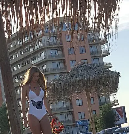 Bruno Summerland