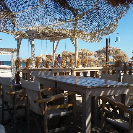 Bruno Summerland Mamaia